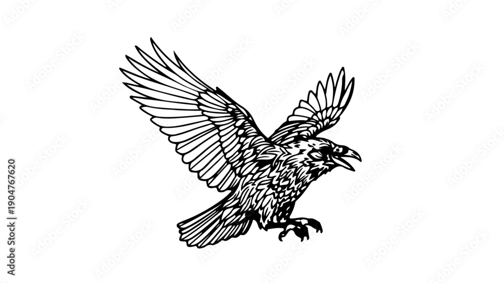 Fototapeta premium A black and white vector illustration of an eagle in flight with its wings spread wide