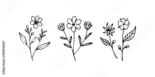 Fotografia Three distinct flowers drawn in a simple black and white line art style