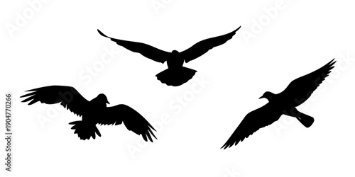Three black birds in flight against a white background Vector