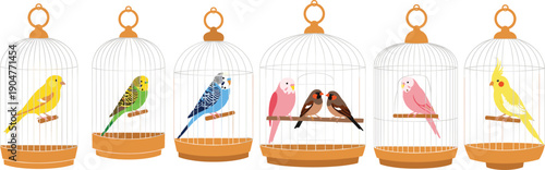 Collection of colorful pet birds including canaries parakeets and cockatiels perched inside vintage style wire cages isolated on white background