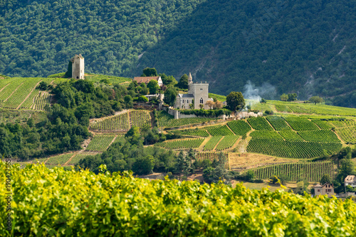 Fotografie Terraced vineyard landscape in the Chignin wine region of Savoie, France, with h