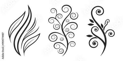 Bild auf Leinwand Elegant black and white swirl and flame decorative design elements Vector