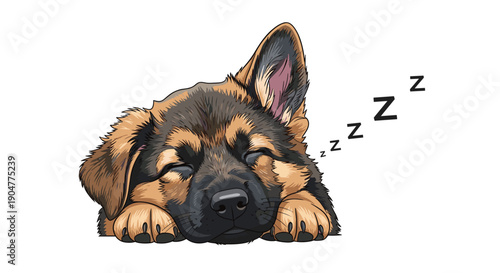 German shepherd puppy sleeping peacefully with eyes closed and paws tucked in tightly against a clean white background.