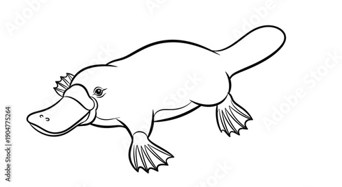 Simple black and white line art illustration of an australian platypus swimming or walking on a plain white surface.