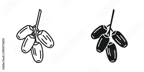 A simple black and white illustration depicts two clusters of olives on branches presented as line drawings with varying shading high quality professional detailed modern elegant