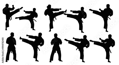 Martial artists in various karate poses silhouetted against white background