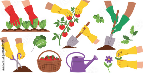Gardening Activity Vector Set with Hands Planting, Harvesting Vegetables, Watering Plants, and Home Garden Tools for Nature Illustrations