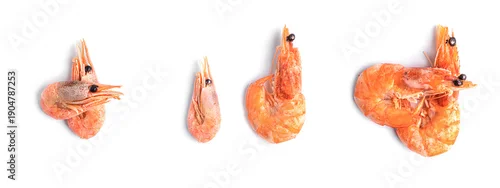 Obraz  z motywem Shrimps on a white background. High quality photo