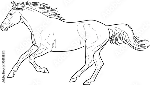 Simple black and white line art drawing of a powerful galloping horse in full motion suggesting freedom, speed, and equestrian art suitable for coloring pages or graphic design projects.