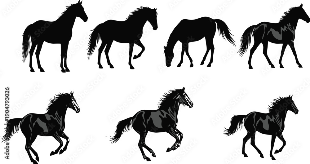 Fototapeta premium Set of black horse silhouettes in various poses, isolated equine vector icons for equestrian sports, ranching, nature, and wild stallion design.