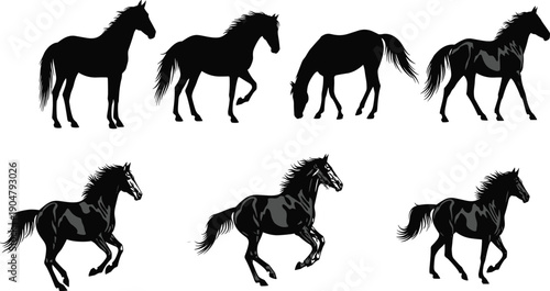Set of black horse silhouettes in various poses, isolated equine vector icons for equestrian sports, ranching, nature, and wild stallion design.
