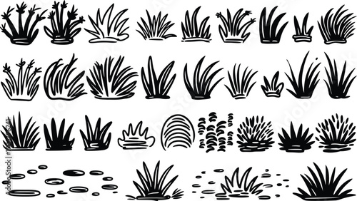 Collection of hand drawn ink sketches showing different types of grass tufts and garden plants.
