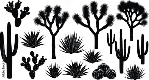 Desert Cactus and Succulent Silhouette Set with Joshua Trees, Agave Plants and Wild Cacti Black Vector Collection