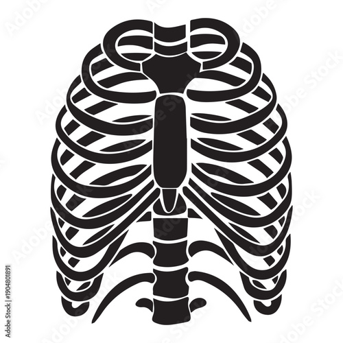 Human Rib Cage Outline