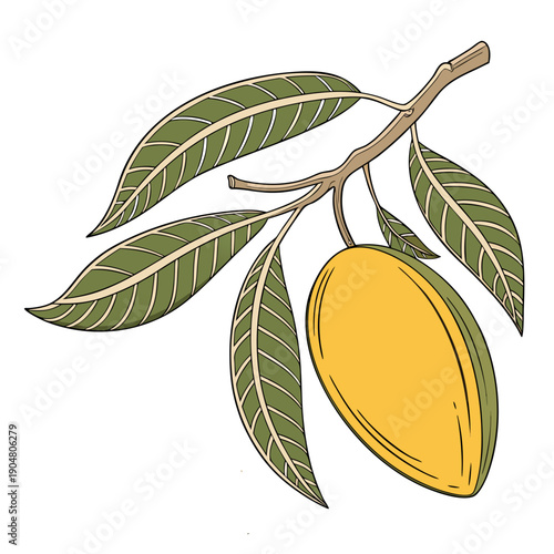 Mango Fruit on Branch with Green Leaves Vector Illustration