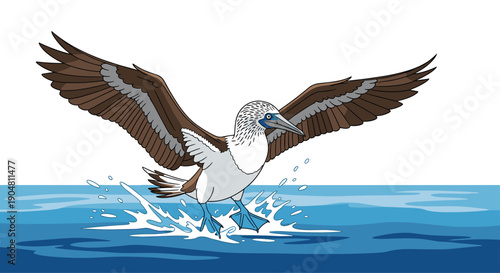 A striking blue-footed booby bird gracefully landing on the ocean surface, creating splashes in its natural marine