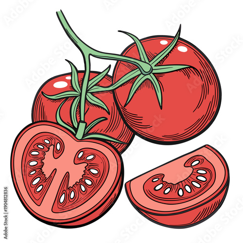 Fresh Red Tomatoes Whole and Sliced Vector Illustration