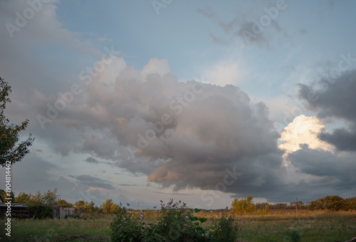 Large beautiful cumulus clouds in evening sunset sky above golden field and flowers in foreground, summer landscape