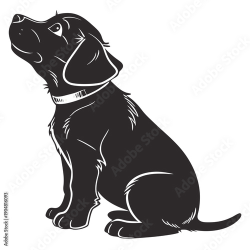 vector illustration of a dog