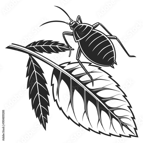 vector illustration of insects