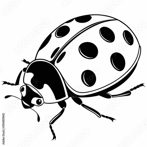 vector illustration of a ladybug