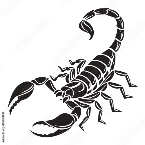 scorpion vector illustration