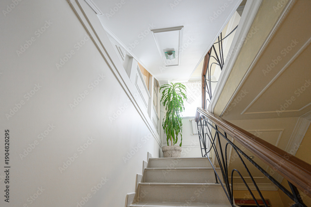 Fototapeta premium Elegant indoor staircase with wooden handrail and wrought iron balusters. Light beige steps, white walls with molding, potted dracaena plant at the base, bright natural light