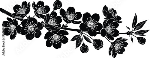 Elegant peony flower arrangement with blooming blossoms and detailed leaves, black and white botanical vector for decorative floral design project