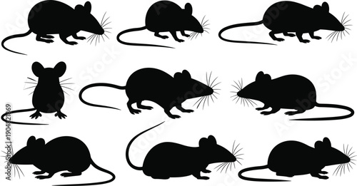 Set of mouse silhouettes in various poses, black rat vector icons for pest control, laboratory research and animal themed designs