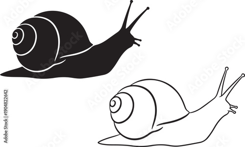 Silhouette and Line Art of a Snail on a White Background drawing illustration