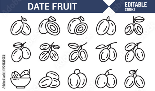 Natural Dried Date Fruit Icon Set