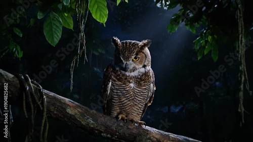 Observing a Majestic Owl Resting on a Moss‑Covered Branch in a Dark Forest, Captured as a Detailed Photo from a Low Angle Emphasizing Soft Left‑Side Light and Mysterious Atmosphere