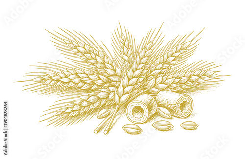 Golden wheat ears and coins vector illustration golden harvest symbol
