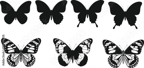 Butterfly silhouettes and detailed illustrations