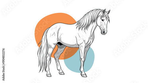 Elegant white horse standing in profile with its head slightly bowed against a background of abstract orange and teal shapes.