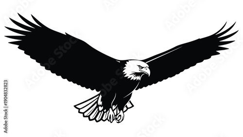 a striking black and white eagle in flight wings spread wide silhouette