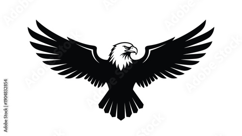 a striking black eagle with expansive wings poised and powerful silhouette