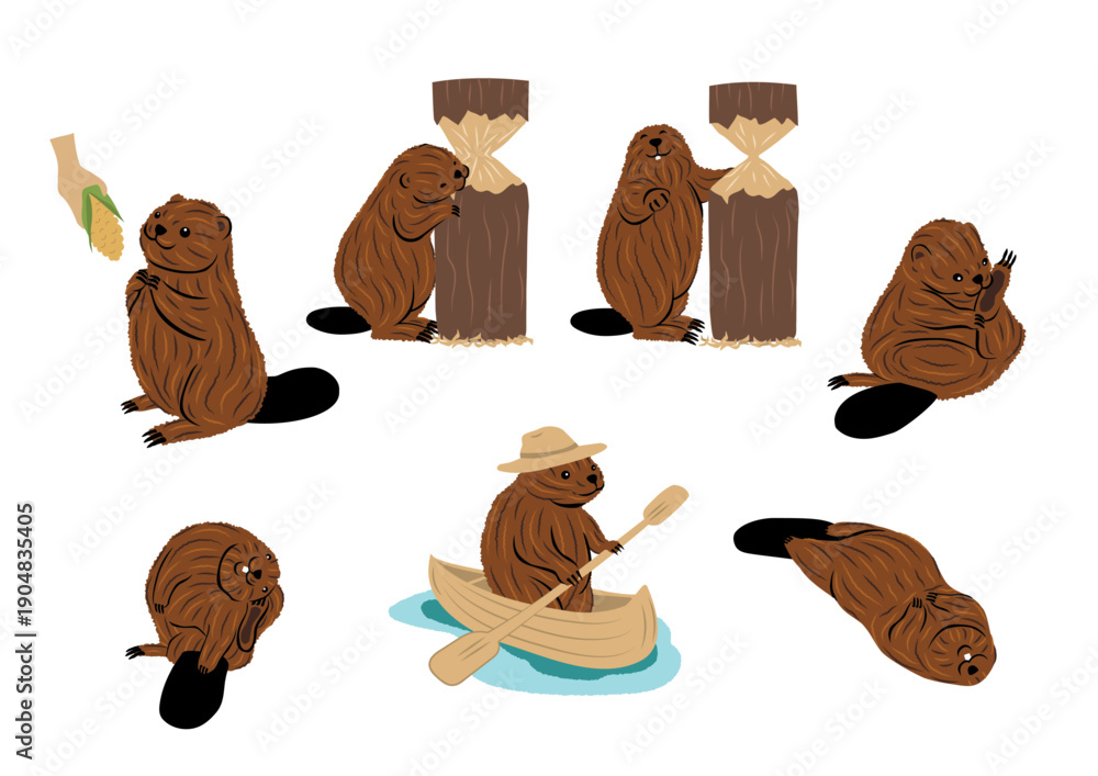 Fototapeta premium Beaver - digital vector drawing collection illustrations of beaver in nature life