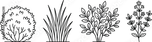 Four different types of plants with leaves and flowers in black and white line art