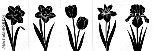 Flowers silhouette set with spring daffodil, tulip and iris floral icons in black cutout style, minimal botanical bundle for logo, decals, stickers and SVG craft