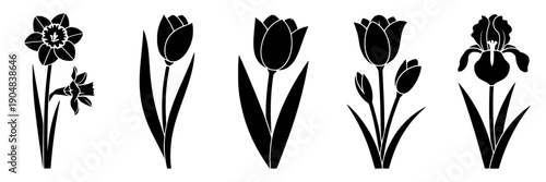 Flowers silhouette icon set with daffodil tulip and iris black vector shapes, minimal botanical spring bloom symbols for logo, tattoo, stencil, clipart and decor