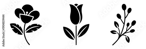 Flowers simple black set with minimalist designs and elegant stems featuring floral, icons, graphics with illustration and vector elements for botanical, decorative projects, clean composition on