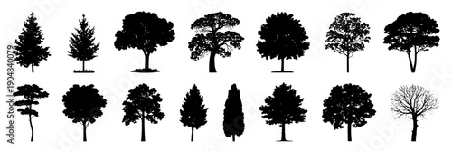 Trees silhouette set with various shapes and sizes for nature design projects featuring forest, plants, leaves with branches and black elements for white, vector projects, clean composition on simple