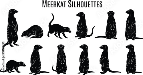 Collection of twelve black meerkat silhouettes in diverse poses and orientations, stylized vector illustration for wildlife, nature, animal 