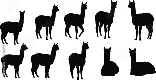 Collection of alpaca silhouettes in various poses including standing, sitting, and lying down, perfect for animal illustrations, design projects, educational references, and creative artwork