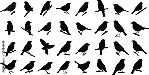 Collection of bird silhouettes in various poses