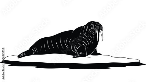 a detailed black and white illustration of a walrus gracefully posed silhouette