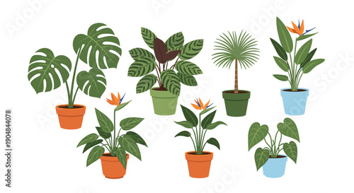 A vibrant collection of diverse potted tropical house plants, featuring monstera, bird of paradise, and various palms,