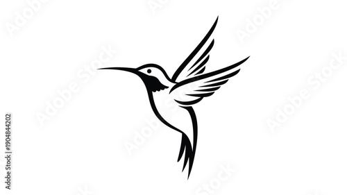 a detailed black hummingbird illustration in flight captured as a silhouette