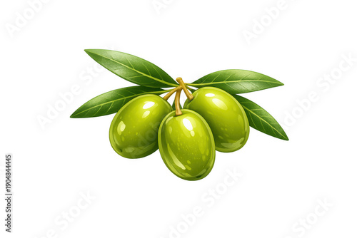 Wallpaper Mural Green olives branch with fresh leaves on transparent background, ripe organic mediterranean fruit oil ingredient Torontodigital.ca